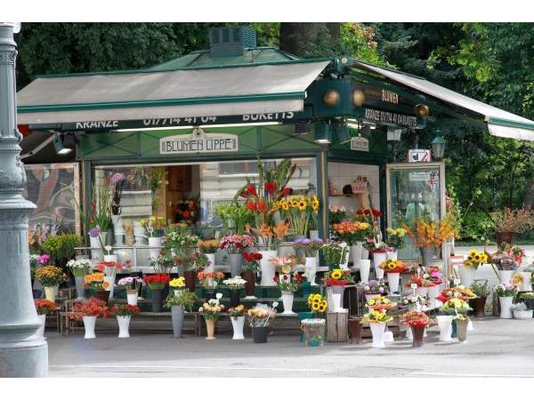 Bild 1 von Blumen Lippe beim Stadtpark