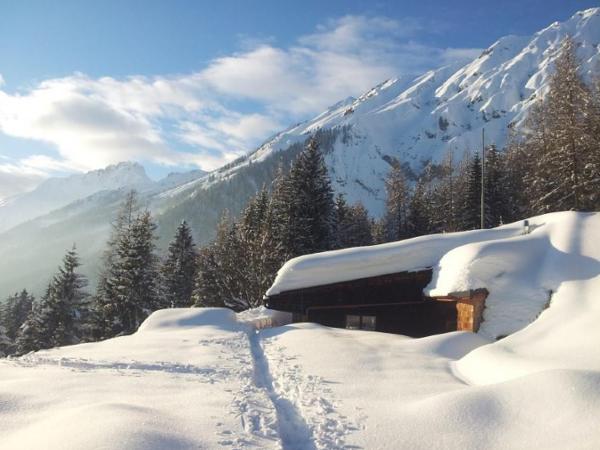 Bild 5 von Rumeralm - Elisabeth Mair