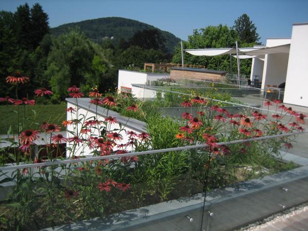 Bild 14 von Blumen und Garten Veronika Schmeikal OG
