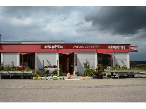 Bild 1 von Blumen Schachner
