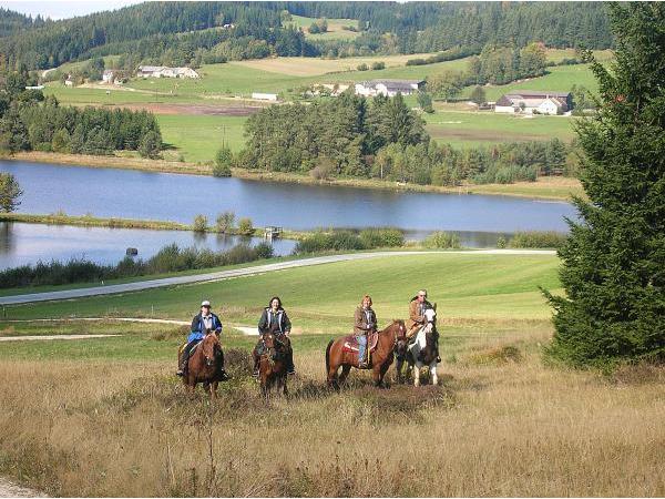 Bild 3 von Siegis Reiterhof