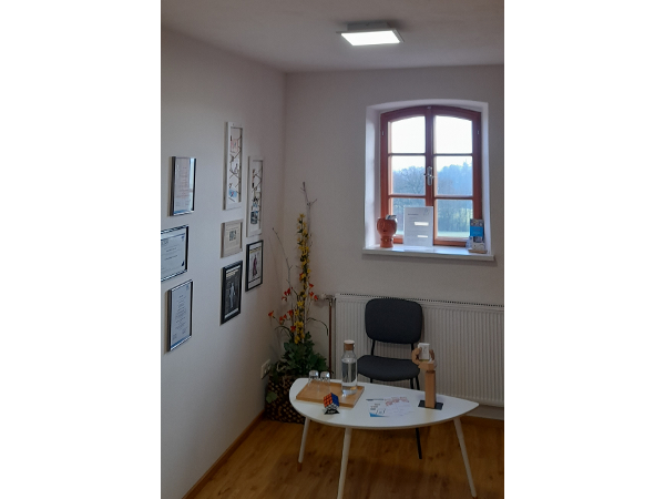 Bild 8 von Physio Pram