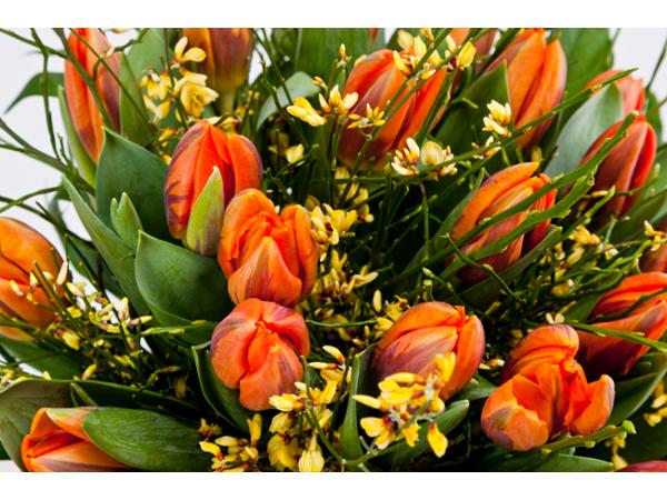 Bild 4 von Blumen Kleissner