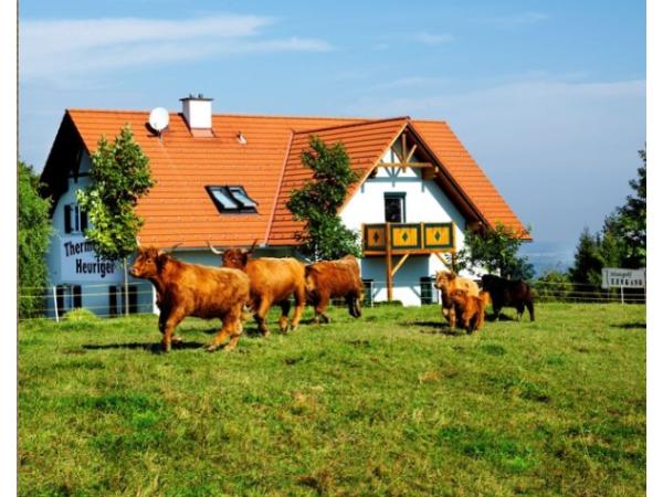 Bild 5 von Thermenstadl Heuriger