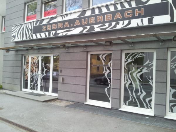 Bild 1 von Zebra Die Fahrschule Salzburg Süd