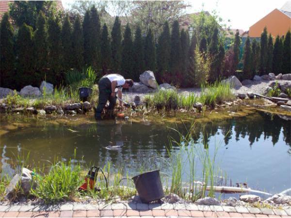 Bild 4 von Aquarium Doc