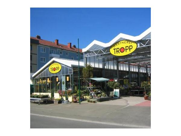 Bild 1 von Blumen-Gärtnerei Tropp Ing. Tropp Gregor e.U.