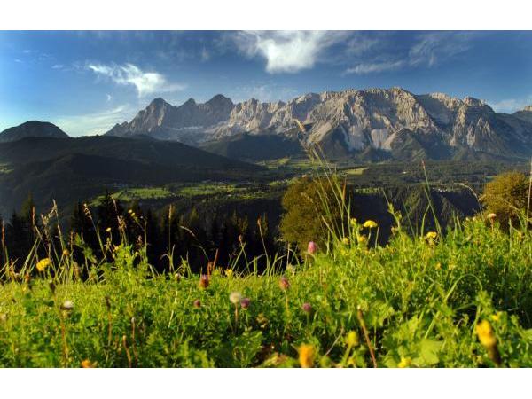 Bild 1 von Tourismusverband Ramsau am Dachstein