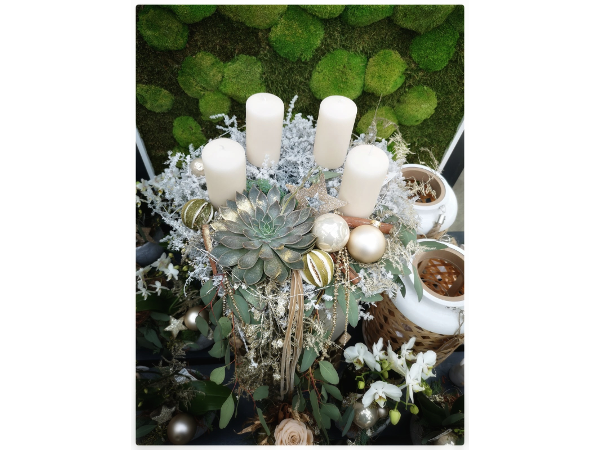 Bild 226 von Gartenbau-Blumen Helmut Friedl