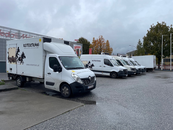 Bild 15 von Reitertrans GmbH