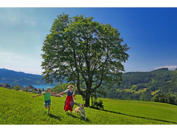 Bild 14 von Ferienhof Feichtinger Fam Zopf
