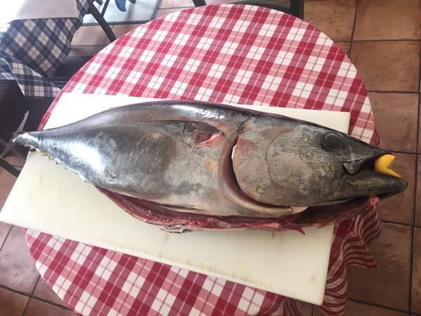 Bild 4 von Osteria & Pizzeria IL PESCATORE