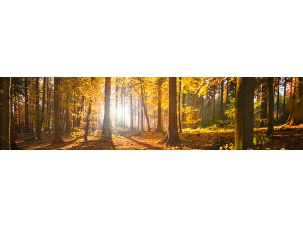 Bild 10 von Portas Fachbetrieb - Lederhilger J GesmbH