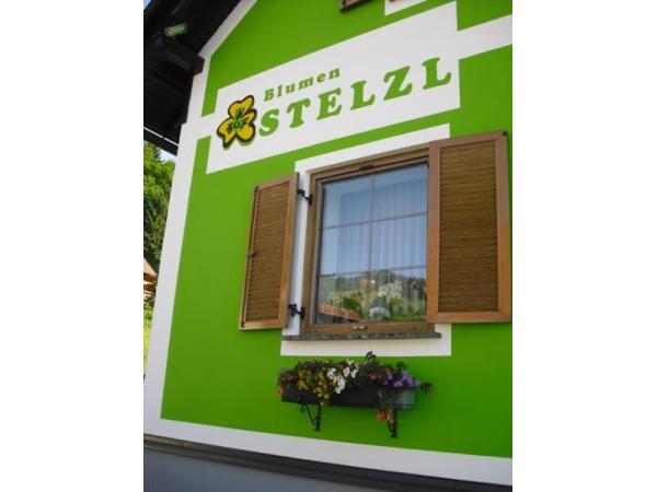 Bild 1 von Blumen Stelzl