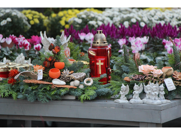 Bild 68 von Gartenbau-Blumen Helmut Friedl