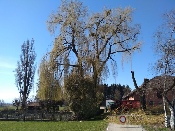 Bild 34 von Hörtenhuemer GmbH