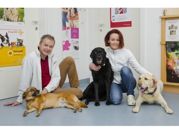 Bild 2 von Tierarztpraxis Trofaiach Dr. Mörtl & Mag. Frisch