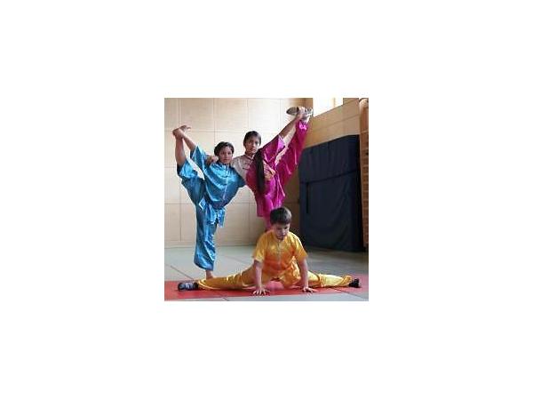 Bild 2 von Wushu Academy