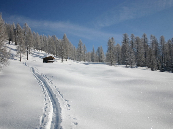 Bild 11 von Almwellness-Resort-Tuffbad**** Superior