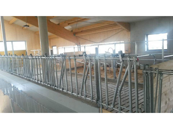 Bild 19 von A&S-Bau GmbH Großarl