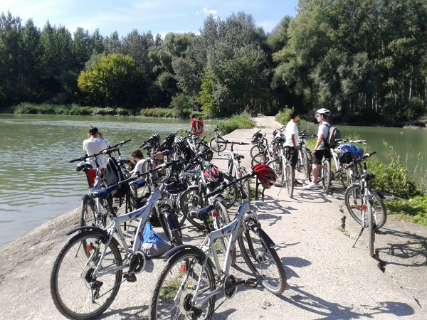 Bild 5 von Radsport Waldherr