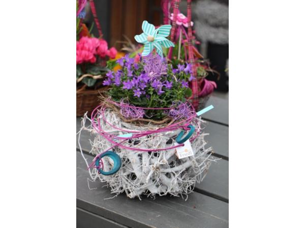 Bild 26 von Gartenbau-Blumen Helmut Friedl