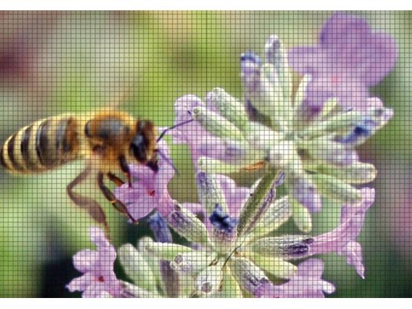 Bild 13 von BARUSIC KG Fenster l Türen l Sonnenschutz l Insektenschutzgitter l Glasüberdachungen
