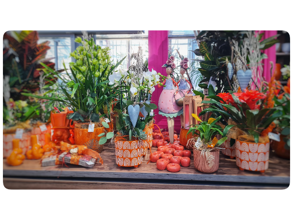 Bild 241 von Gartenbau-Blumen Helmut Friedl