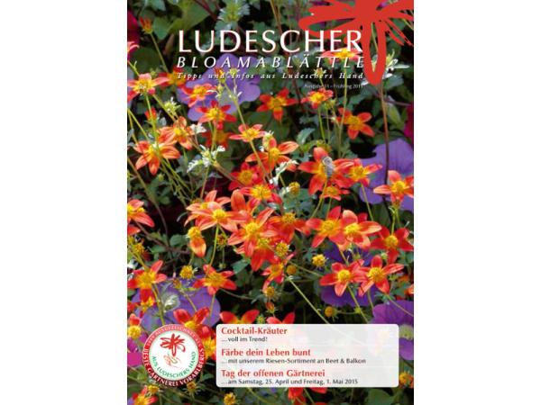Bild 10 von Ludescher Stephan Gärtnerei + Floristik