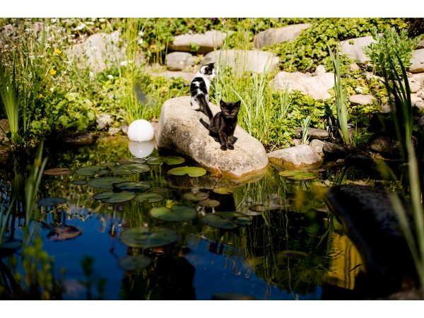 Bild 32 von GARTEN HÖDL Gartengestaltung