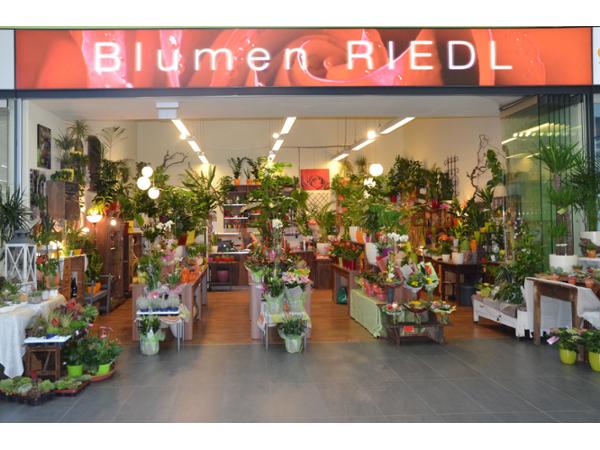 Bild 1 von Blumen Riedl - Blumen, Floristik & Vinothek