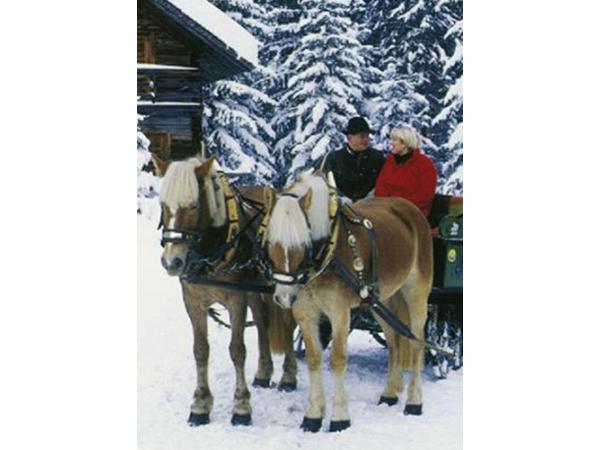 Bild 12 von Naturhotel Hammerhof