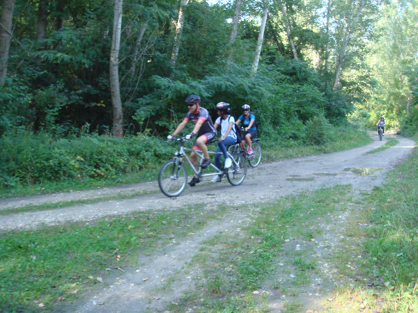 Bild 7 von Radsport Waldherr