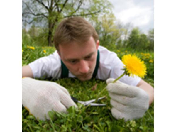Bild 8 von Flash Services GmbH