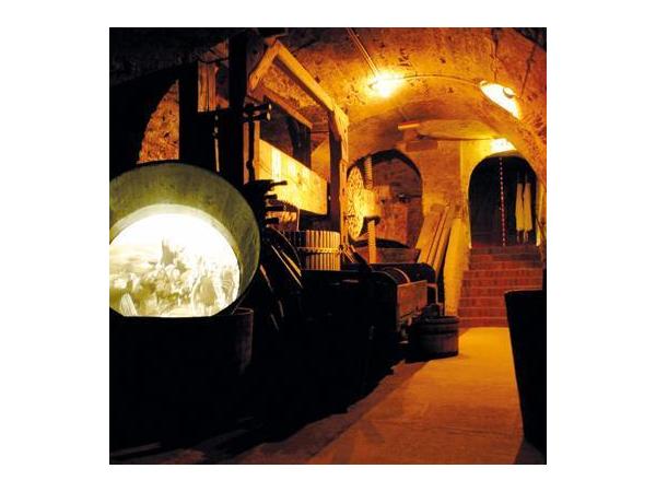 Bild 3 von LOISIUM Weinwelt