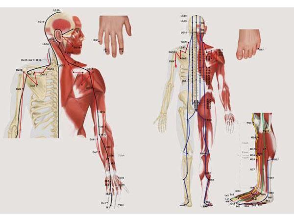 Bild 3 von arteffekt e.U. grafik | illustration