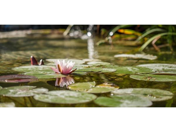 Bild 13 von Eder Gartenarchitektur GmbH