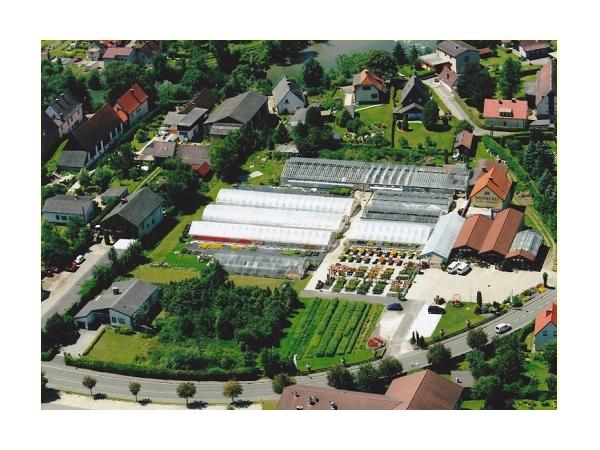 Bild 14 von Galla-Mayer Blumenhaus