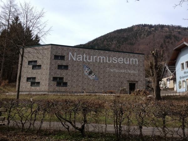 Bild 7 von Naturmuseum Salzkammergut - Treffpunkt Natur