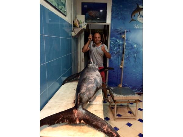 Bild 9 von Osteria & Pizzeria IL PESCATORE