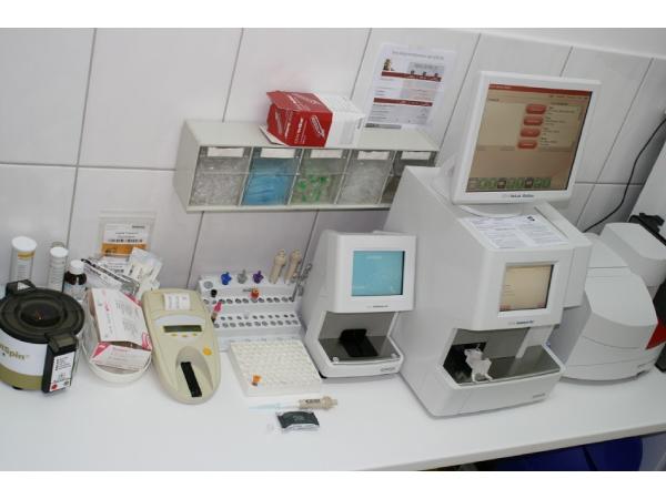 Bild 7 von Tierklinik Leoben Dr. Josef Schlederer