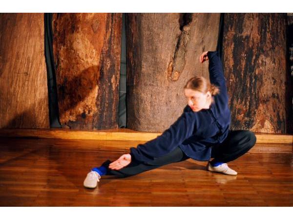 Bild 7 von Wushu Academy