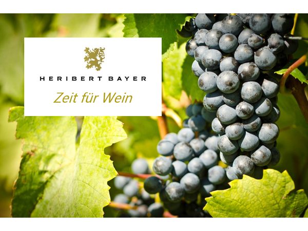Bild 1 von Heribert Bayer Weingut In Signo Leonis GmbH