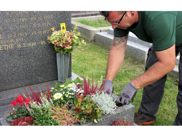 Bild 9 von Blumen Schuster in Meidling - Christine Schuster