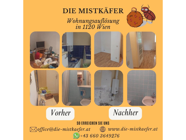 Bild 4 von DIE MISTKÄFER