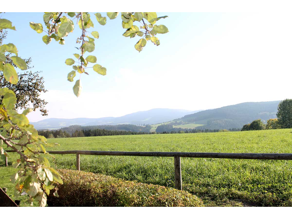 Bild 3 von Tourismusverband Joglland – Waldheimat