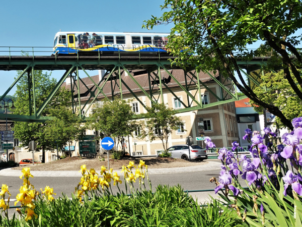 Bild 3 von Citybahn Waidhofen