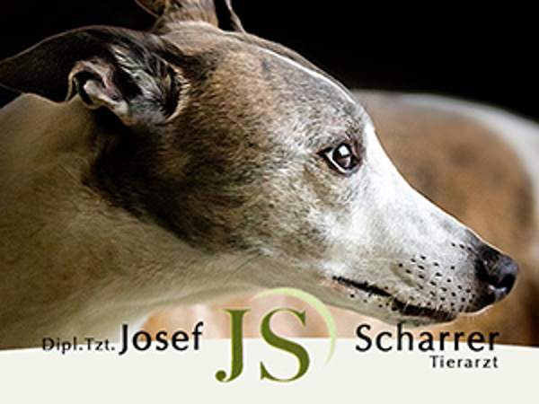Bild 6 von Dipl-TA Josef Scharrer