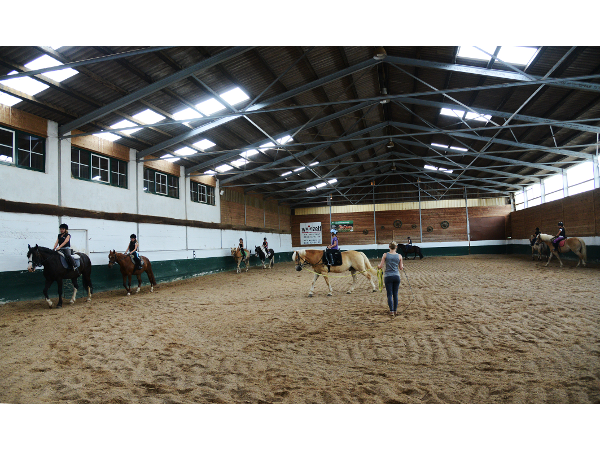 Bild 4 von HALMERHOF REITSTALL