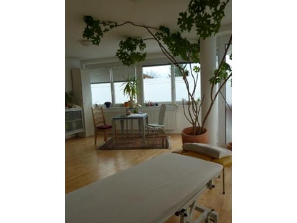 Bild 2 von Panovits Verena MSc Physiotherapie - Osteopathie